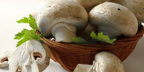 Da li je moguće da djeca imaju šampinjone sa 1,2, 3, 4, 5, 6 godina, mišljenje komarovskog